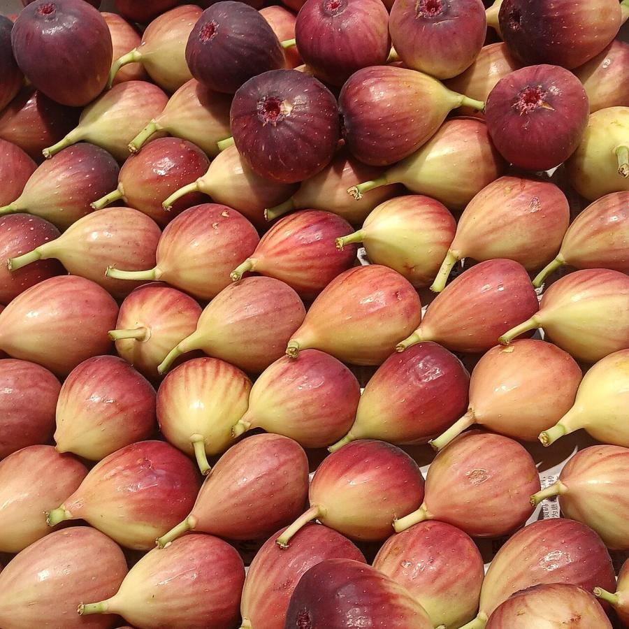 Figues
